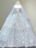 Timeless Off-the-Shoulder Ball Gown Sparkly Tulle Wedding Dress Bridal Gown with Veil HZ1121